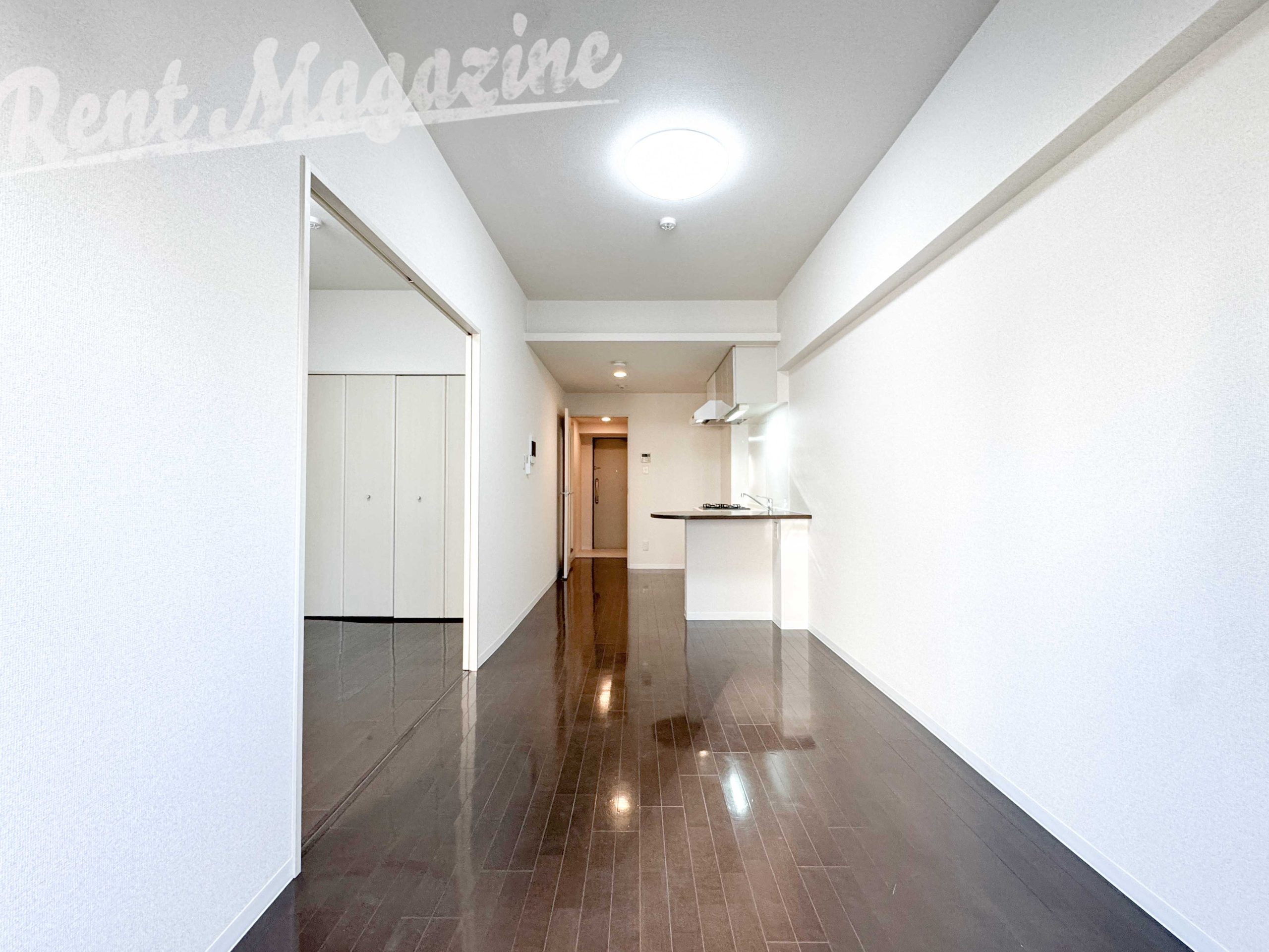 餌を持っていると鳩にモテモテ