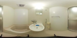 SANITARY